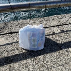 清掃活動：アジしか勝たん