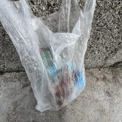 清掃活動：アジの冬の時期突入