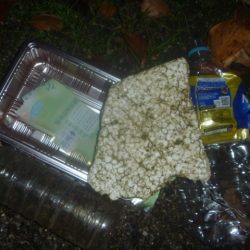 清掃活動：シャッドで一匹