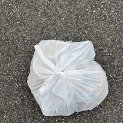 清掃活動：大アジ釣れてます