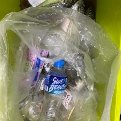 清掃活動：根魚＆アジ