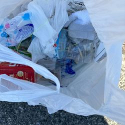 清掃活動：ちょい投げ、キス釣り