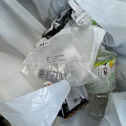 清掃活動：キス釣り