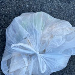 清掃活動：アジング　好調です♪