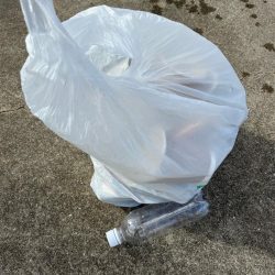 清掃活動：サゴシ釣れです♪