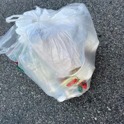 清掃活動：スズキ釣れました♪