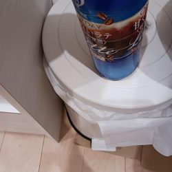 清掃活動：エギング良型多数。絶好調です。