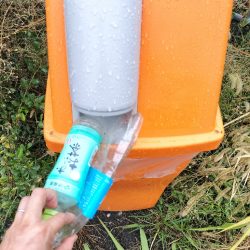 清掃活動：雨の恩恵