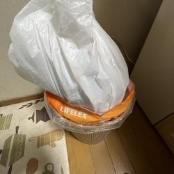 清掃活動：冬の気配