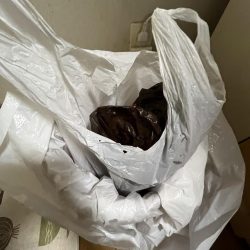 清掃活動：雨が降る前に