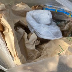 清掃活動：暴風！