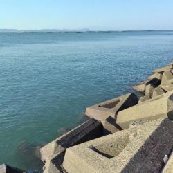 今年最高に迫る!