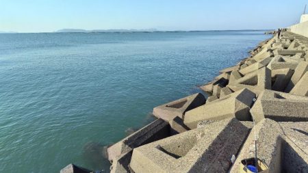 今年最高に迫る!