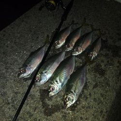 フロートゲーム~