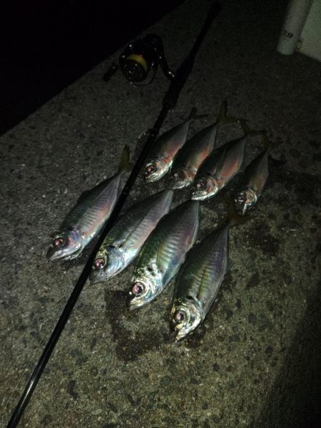 フロートゲーム~