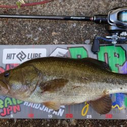 パンチショット!