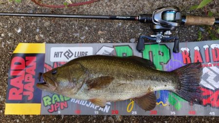 パンチショット!