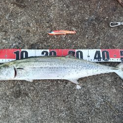 朝マズメ初ヒット〜