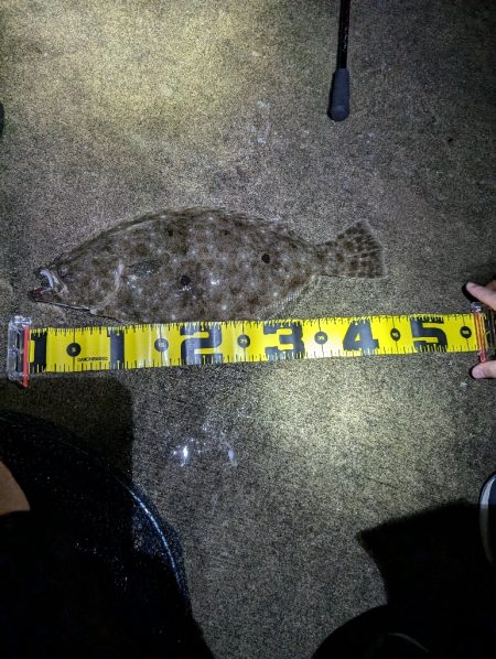 陸っぱり釣行記