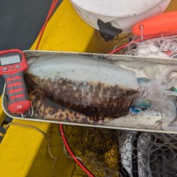 秋キロup最高ー!