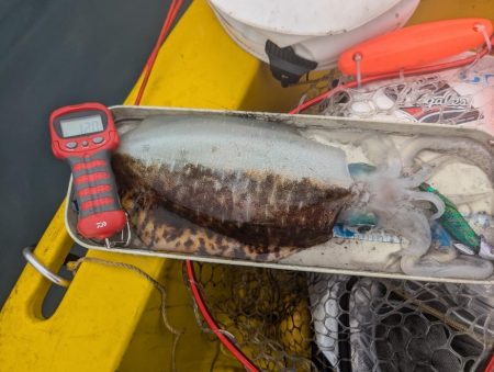 秋キロup最高ー!