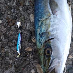 爆風ショアジギング!