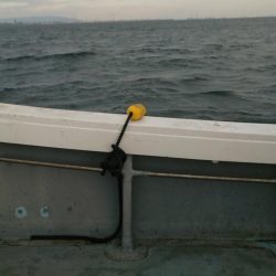 伊勢湾奥サワキャス