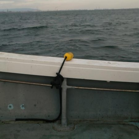 伊勢湾奥サワキャス