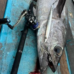 志摩トンジギでタネトンが出た!