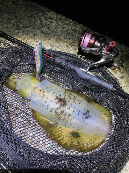 秋🦑　今季最大ǹ…