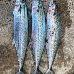 2024ライトゲーム第41戦