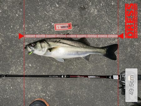 ゼッパー80sでもジョイクロ128