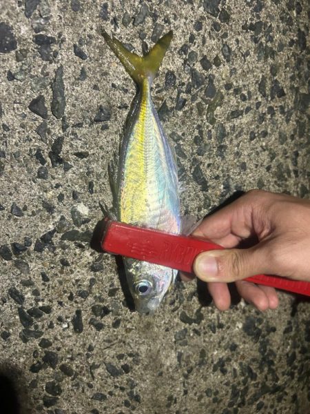 よかったー🦑ὁ…