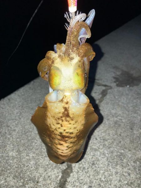 オモツライ。一杯。( ;∀;)