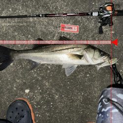 【ジョインテッドクロー】時には強気に攻めるのが吉!