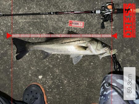 【ジョインテッドクロー】時には強気に攻めるのが吉!