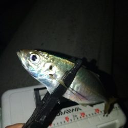 フロートゲーム~