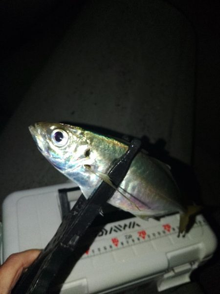 フロートゲーム~