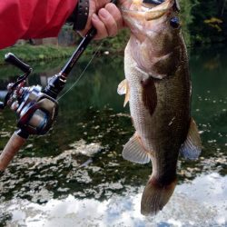 パンチショット!