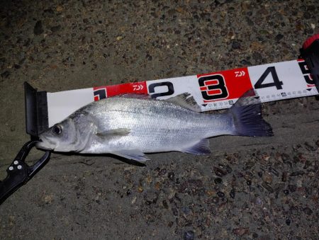 自分にしたら上出来♪♪