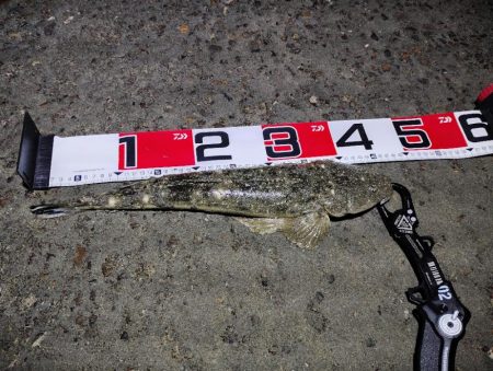 ネバって良かった♪