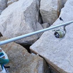 室津のキス釣り