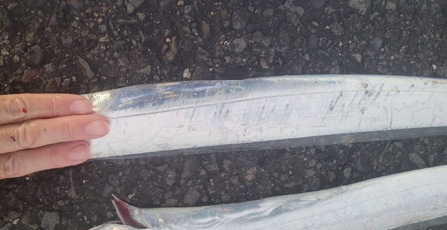 中々シブめでした