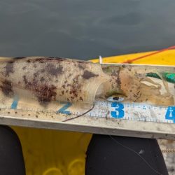 秋キロup最高ー!