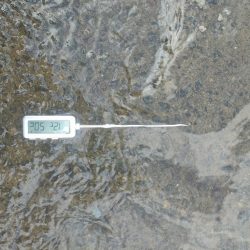 釣れてよかったけど