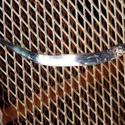 決着をつけに行きました。