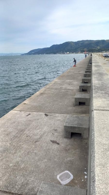 秋の青物シーズン開幕 (その4)