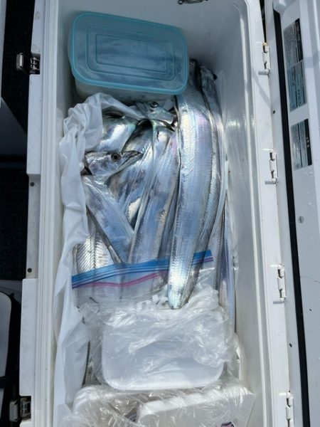 今季２回目の大分テンヤタチウオに行って来ま…