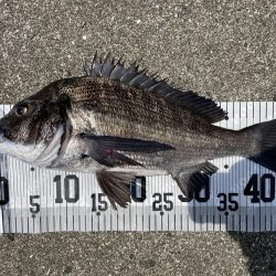 イチノ兄弟、釣果!