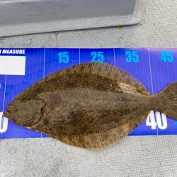 極寒でもヒラメが釣れるのは熱いにゃ！